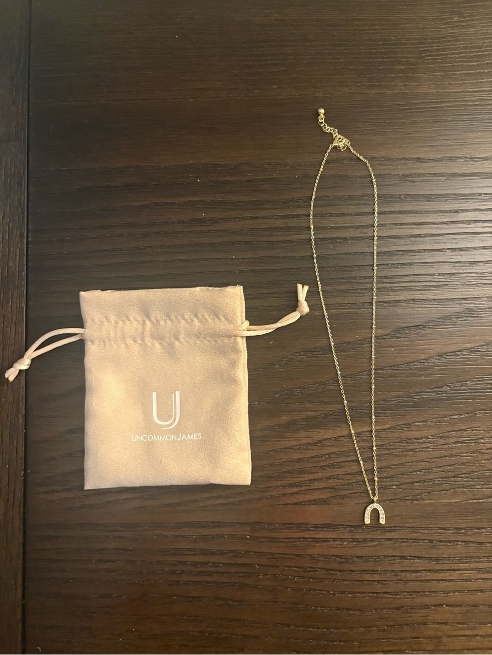 NEW Uncommon James gold Horseshoe Pendant necklace